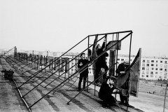 №06