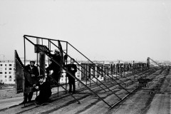№12