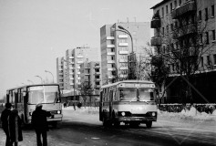 №10
