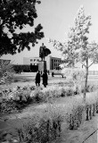 №25