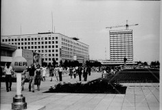 №31