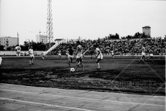 №36