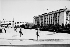 №24