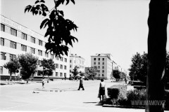 №25