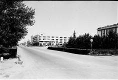 №33