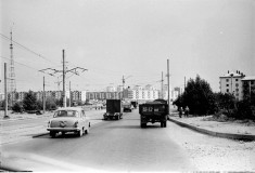 №35