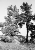 №18