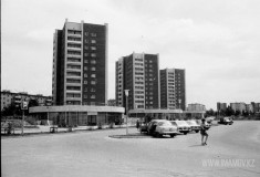 №37