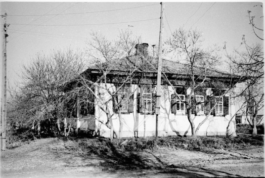 №11