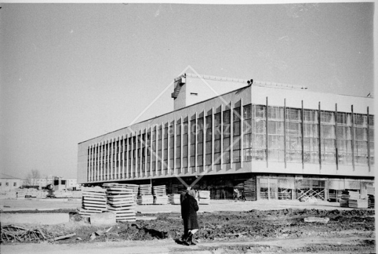 №19