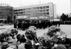 №11