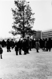 №10