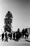№12