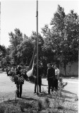 №13