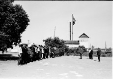 №15