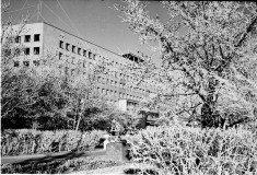 №19