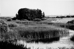 №30