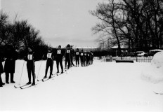 №15
