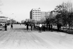 №12