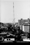 №11