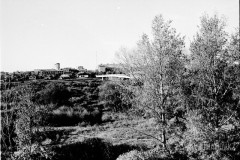 №19