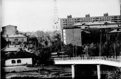 №20
