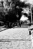 №26