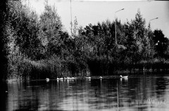 №34