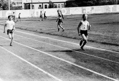 №12
