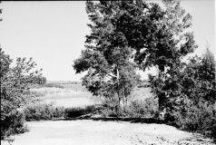 №12