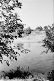 №13
