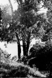 №28