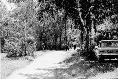 №33