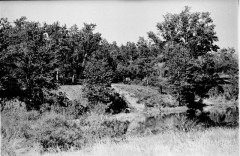 №37