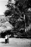№38