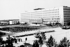 №11