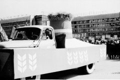 №15