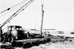 №10