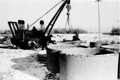 №11