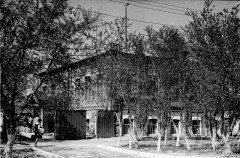 №12