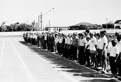 №22