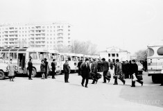 №08