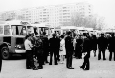 №11