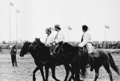 №13