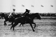 №15