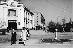 №15