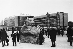 №12