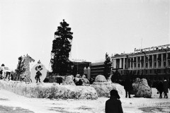 №15