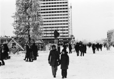 №12