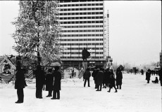№13